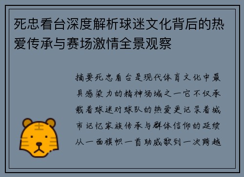 死忠看台深度解析球迷文化背后的热爱传承与赛场激情全景观察